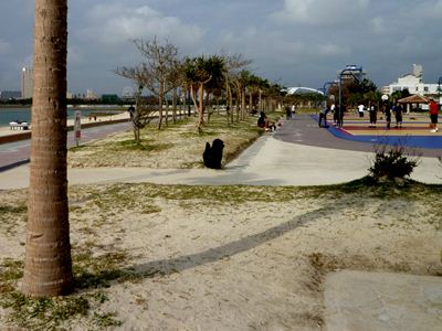 b0220251_1741468.jpg
