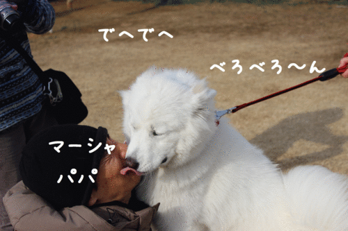 a0269552_1532458.gif