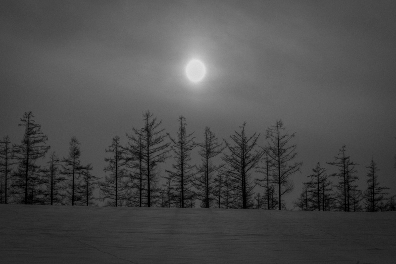 哀愁の旭川、撮れなかった美瑛 (写真展のお知らせ)_f0137354_17457.jpg