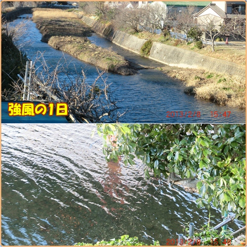 何事も思うようにいかない　気分はブルー_d0007071_1655781.jpg