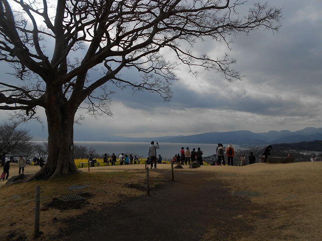 2月8日消費者シンポ説明小野様、吾妻山、ランチなのはな、総務建設経済常任委員会_d0143678_20494416.jpg