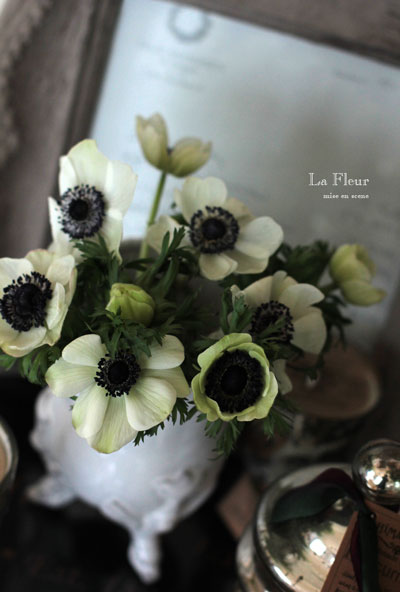 アネモネパンダ La Fleur アネモネパンダ La Fleur