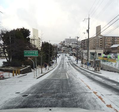 突然の雪_c0092689_17284431.jpg