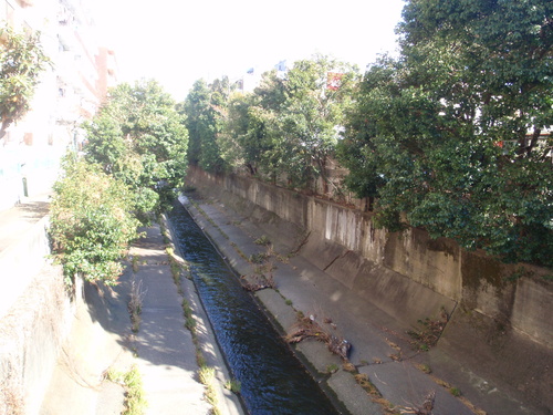 d0034291_18183750.jpg