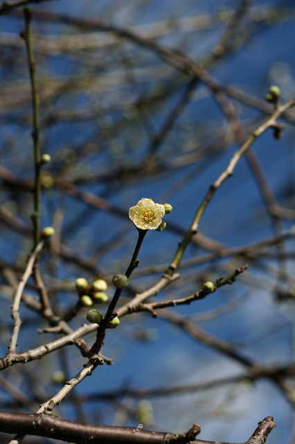 a0077894_12595137.jpg