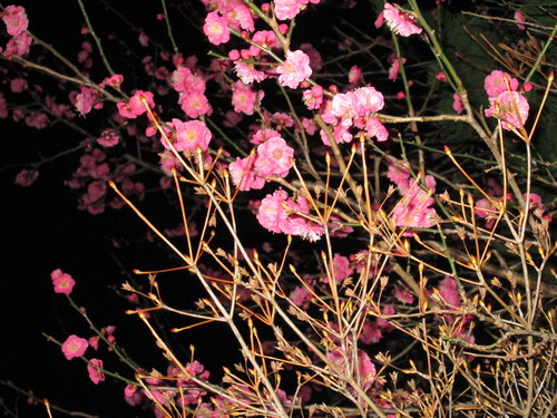 b0277505_1391132.jpg