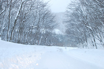 b0259218_3275981.jpg