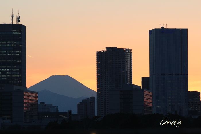 ダイヤモンド富士　２日遅くれの新丸ビルより　2013年2月8日　in Tokyo_d0129921_0181393.jpg