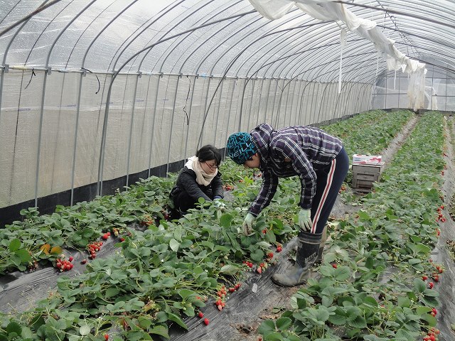f0142721_1542133.jpg
