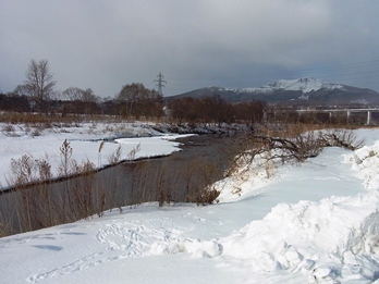 c0204725_2322115.jpg