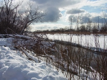 c0204725_2331972.jpg