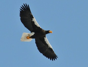 c0204725_2382511.jpg