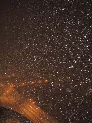 d0155128_94469.jpg