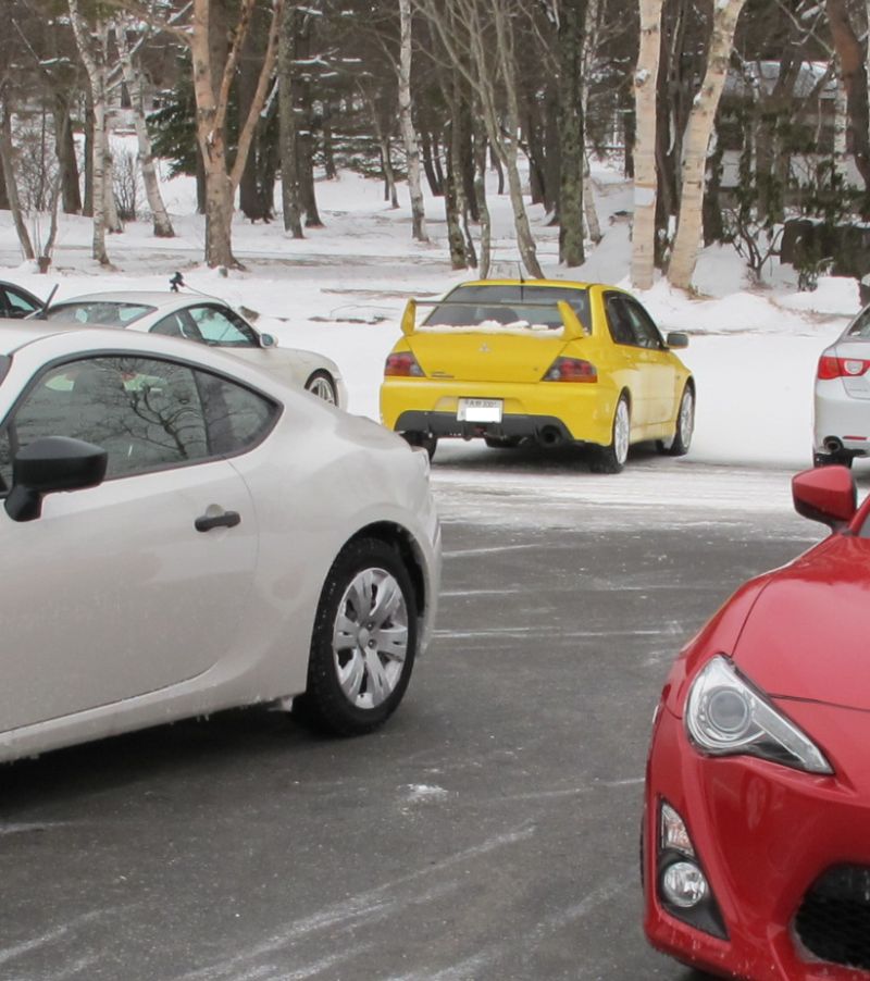 BRZでアイスダンス_f0076731_21255081.jpg
