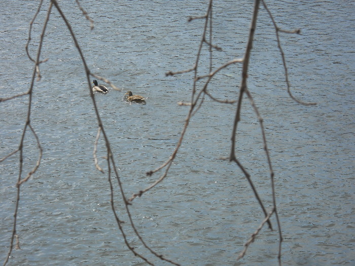 c0107149_7291065.jpg