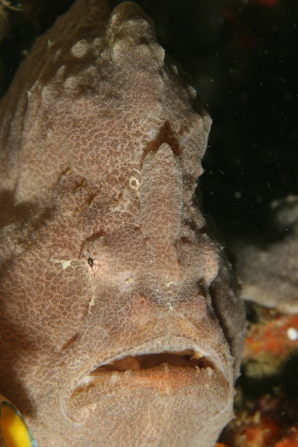 e0314451_15827.jpg