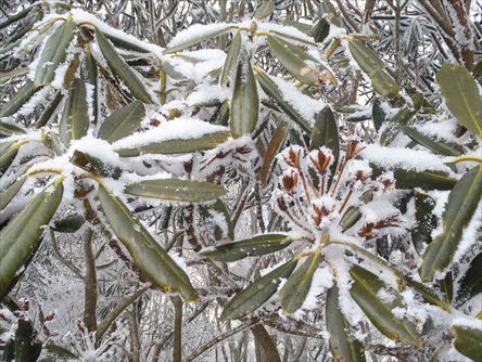 南鈴鹿で雪を楽しむ_e0044657_22181985.jpg