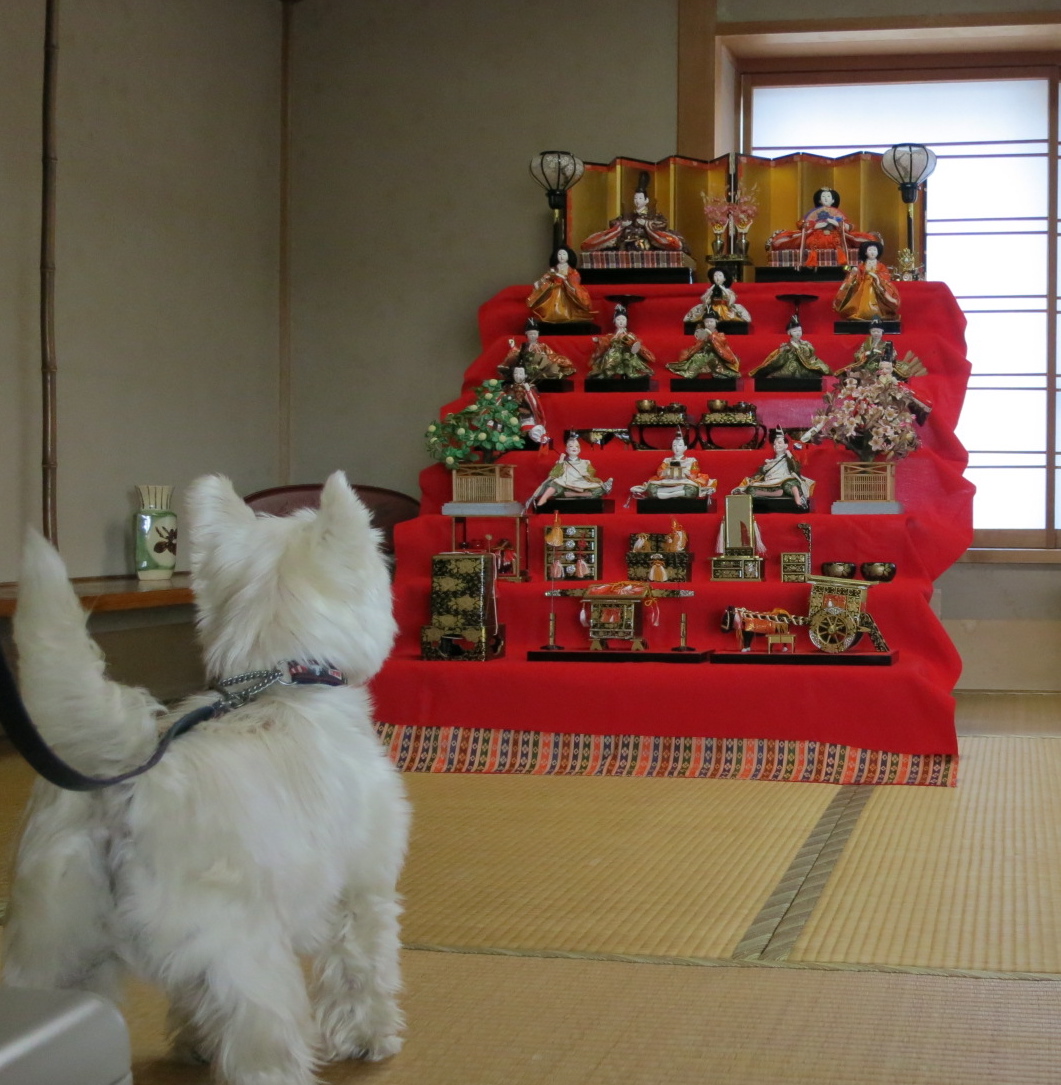「禁断の間」発生_c0260460_1524563.jpg
