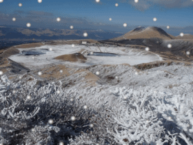 e0145364_1544080.gif