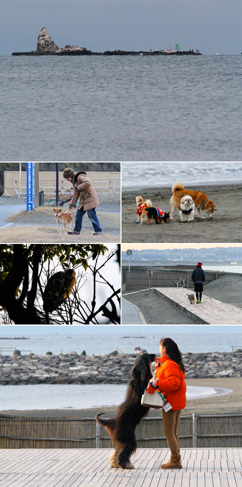 2013/02/09(SAT) Small wave ._a0157069_1105496.jpg