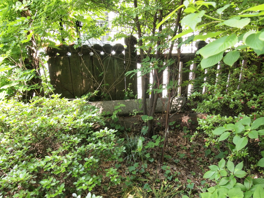 e0163471_20295359.jpg