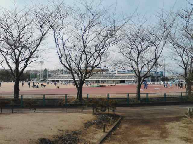 b0155973_1854294.jpg
