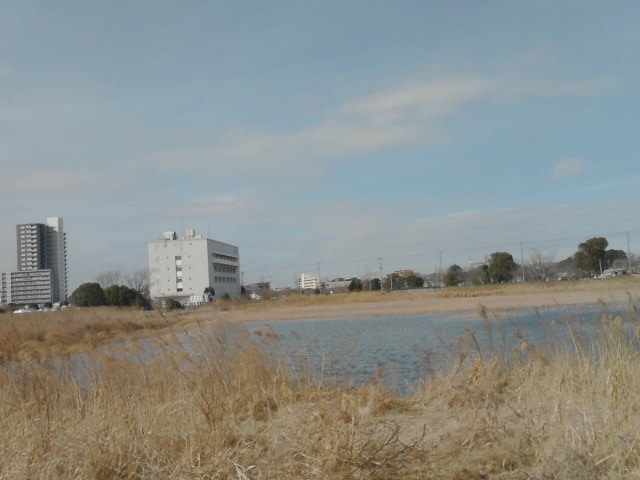 b0155973_18545220.jpg