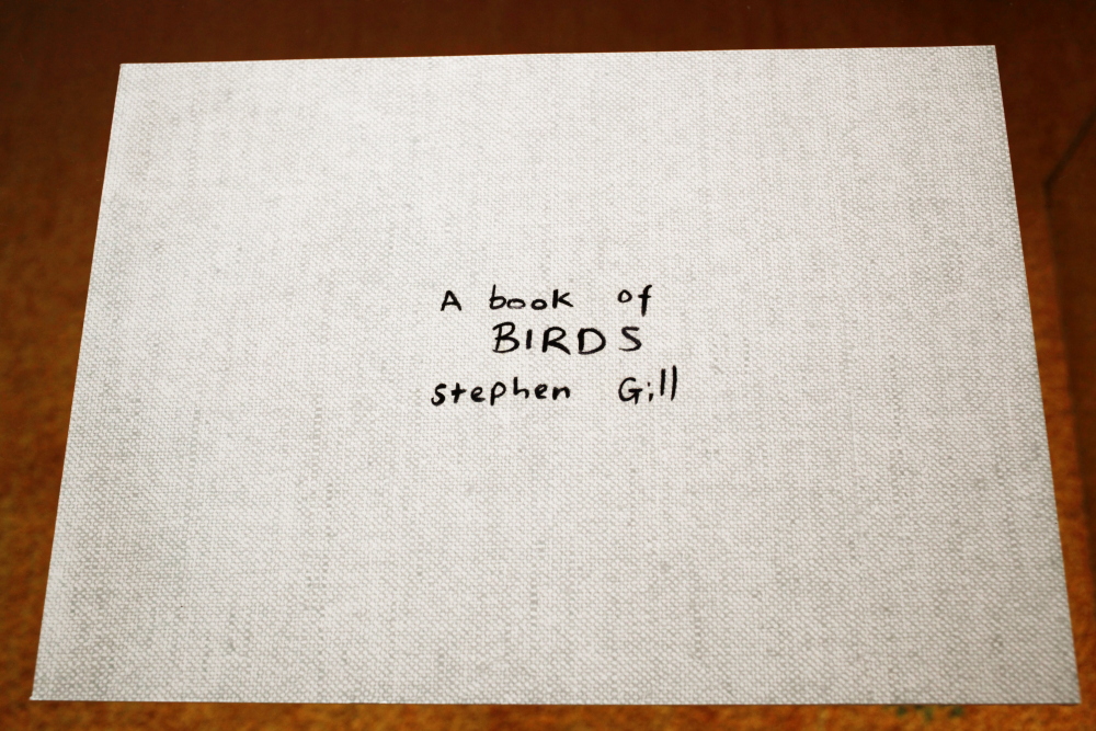 Stephen Gill 「A book of Birds」_c0016177_1593154.jpg