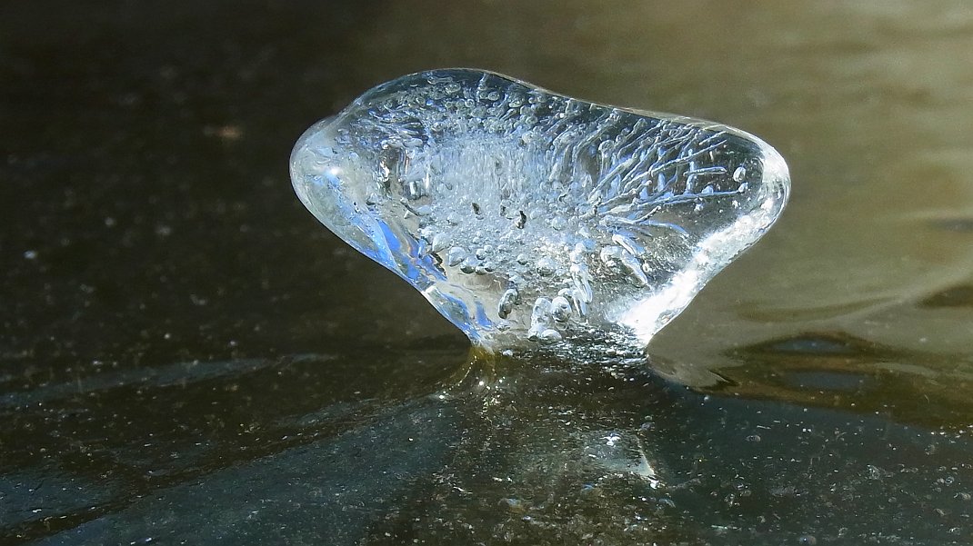 a0152692_19313178.jpg