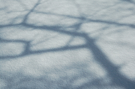 d0234293_7144212.jpg