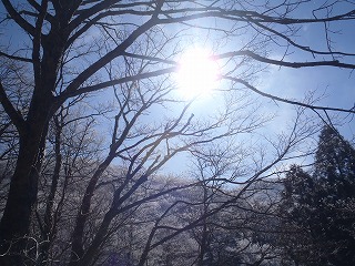 c0147398_174819.jpg