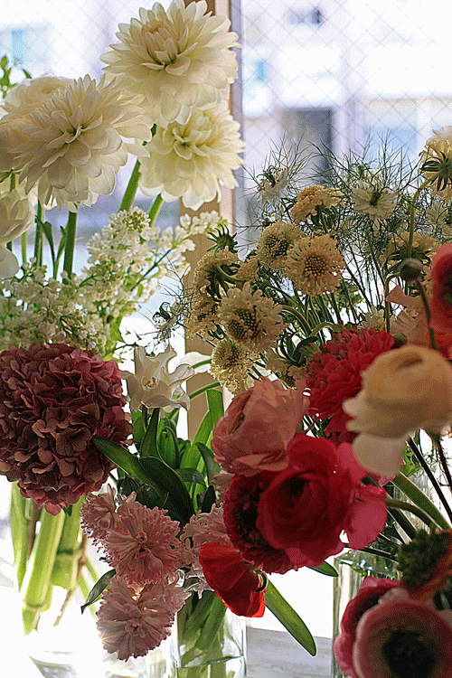 f0175799_2041929.gif