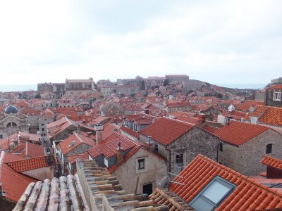 f0080102_1761427.jpg