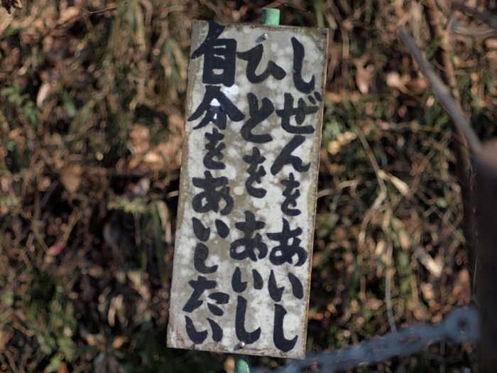 c0187503_1656526.jpg