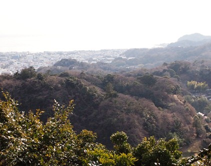 ビブリアロケ地（建長寺境内、半僧坊大権現への参道）へ(2013.02.09)_e0245404_257581.jpg