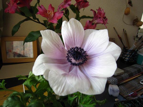 a0141408_22432857.jpg