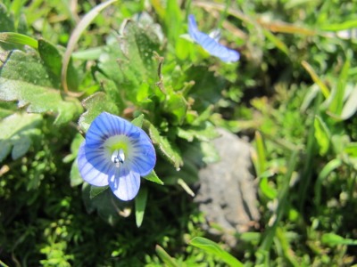 c0178009_222186.jpg