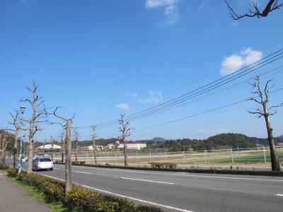 c0178009_2222154.jpg