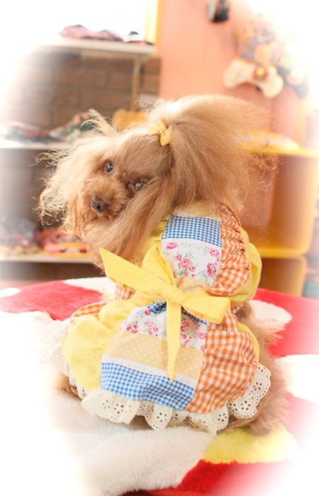 J&K♡animals_d0060413_11373836.jpg