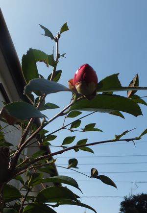 c0073016_2257268.jpg