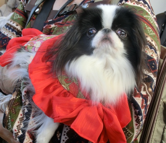 c0200916_051567.jpg