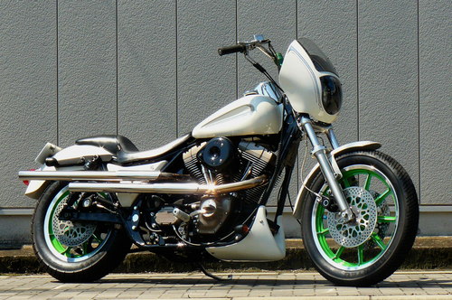 Twincam FXR_b0160319_1151042.jpg