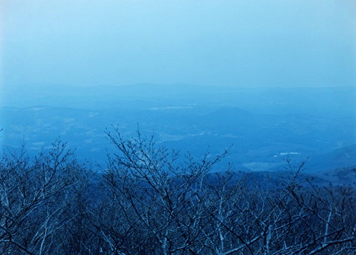 c0205224_04149.jpg