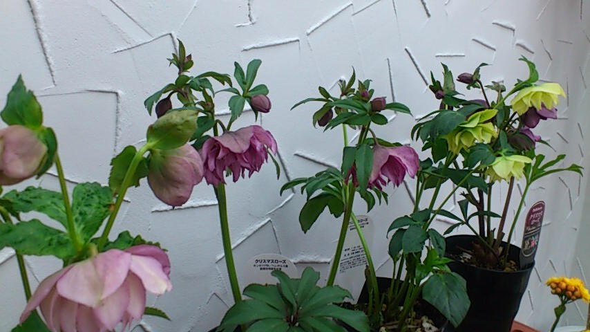 d0252434_138417.jpg