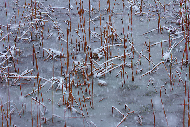 c0067040_20123274.jpg