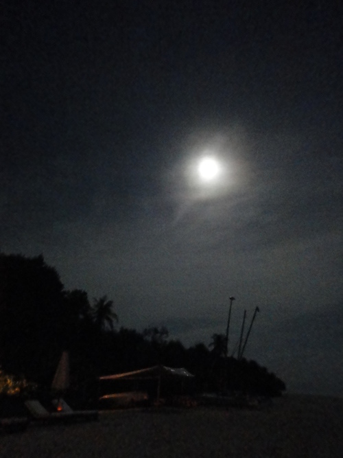 c0214842_32296.jpg