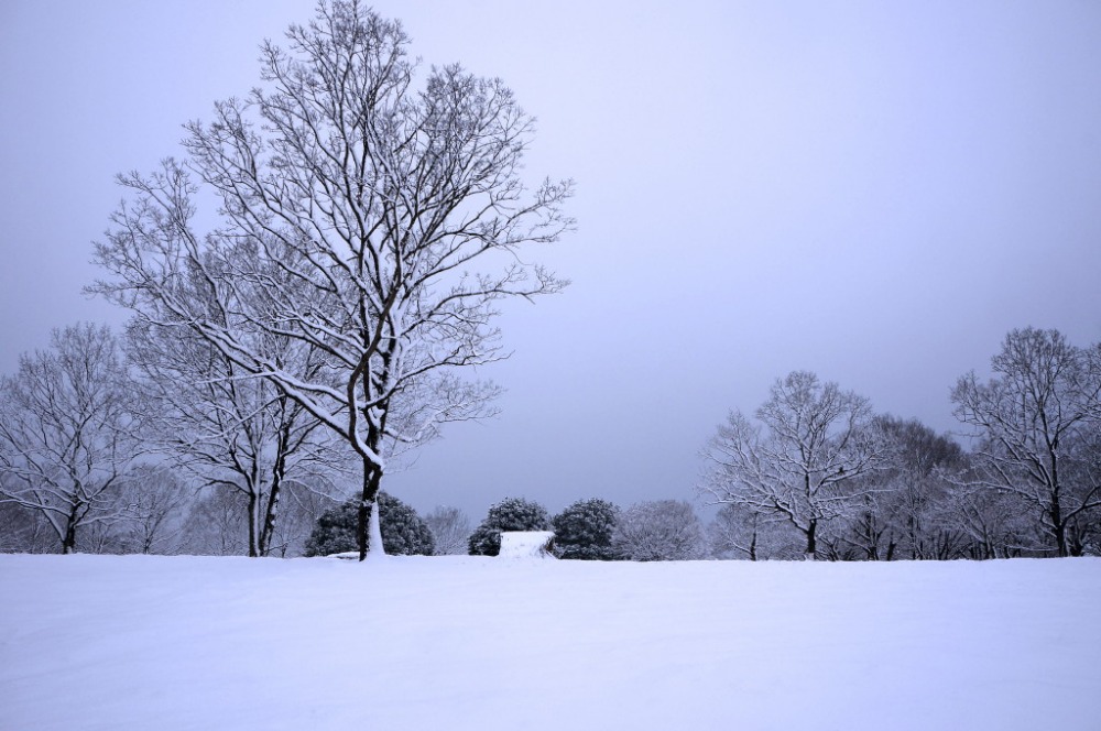 \"雪景色\" in Chiba～2013.1.28_e0132243_22394783.jpg