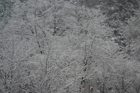 f0219043_1045068.jpg