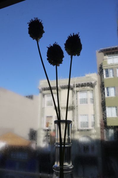 c0245349_45122.jpg