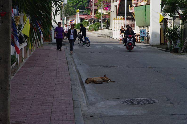 タイ旅行．．．　No.10_f0152550_01990.jpg